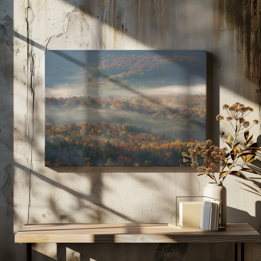 Misty Morning | Canvas