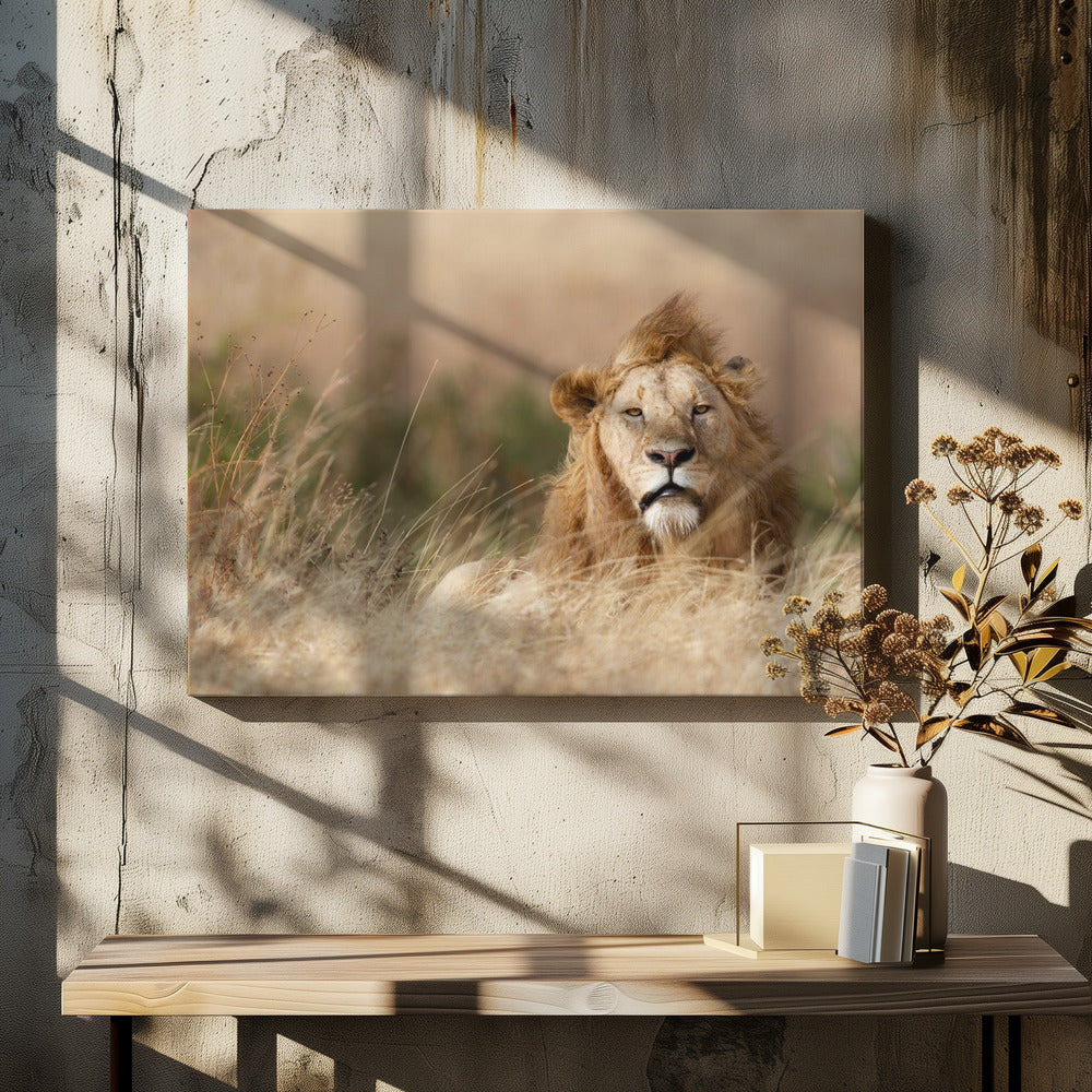 Handsome! | Canvas