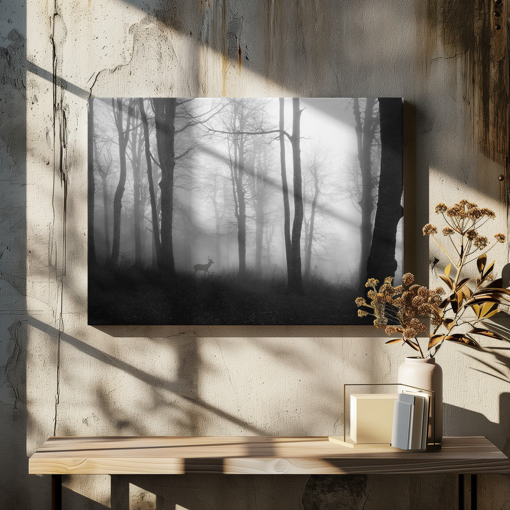 forest | Canvas