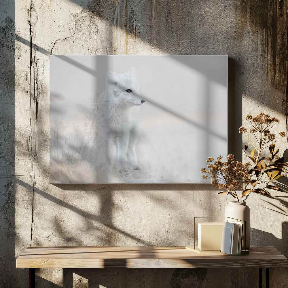 Looking around | Canvas