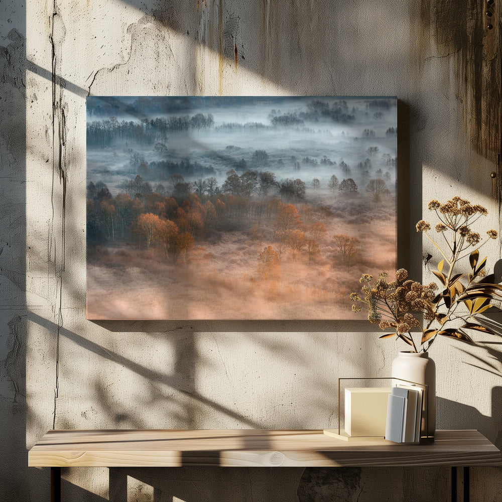 Autumnal misty dawn | Canvas