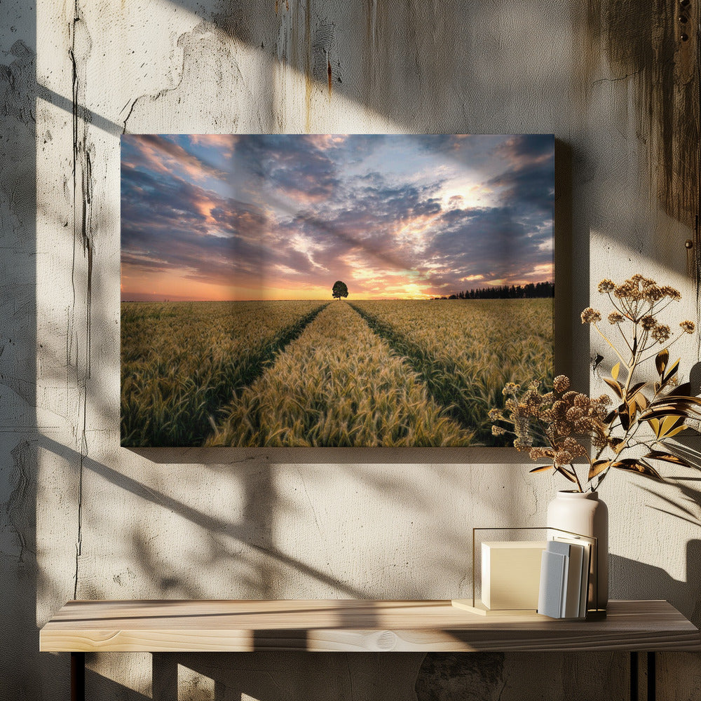 Field of dreams | Canvas