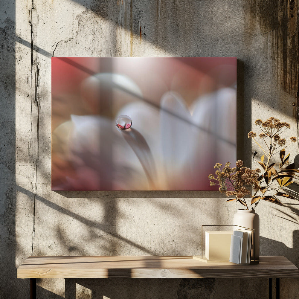 Enigma.. | Canvas