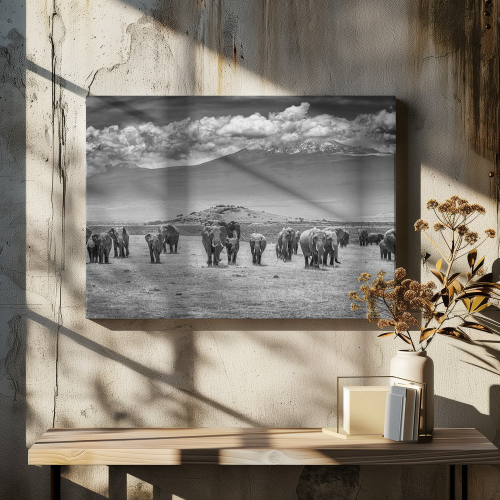 The Titans | Canvas