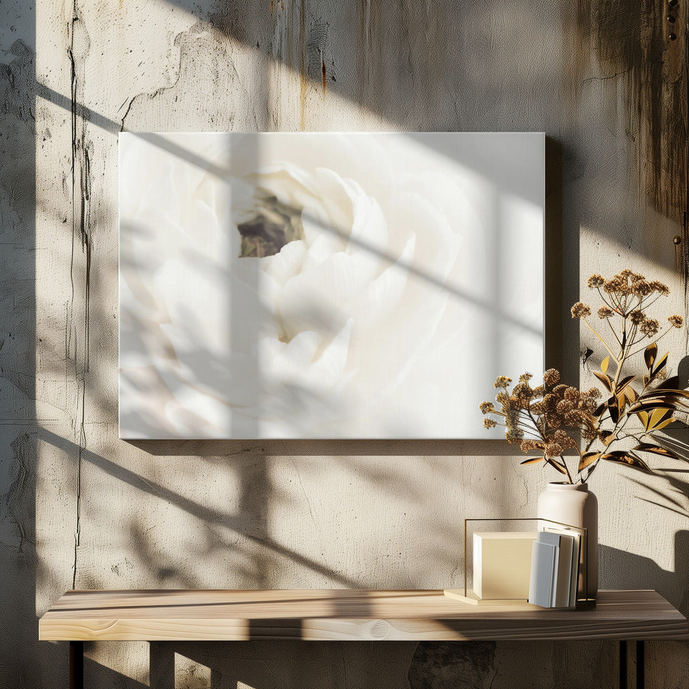 White Flower 02 | Canvas