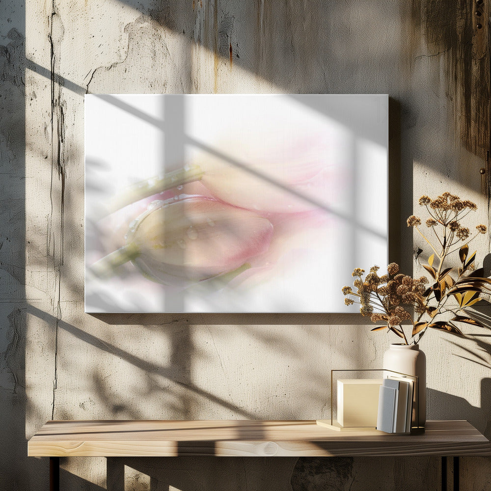 Touching | Canvas
