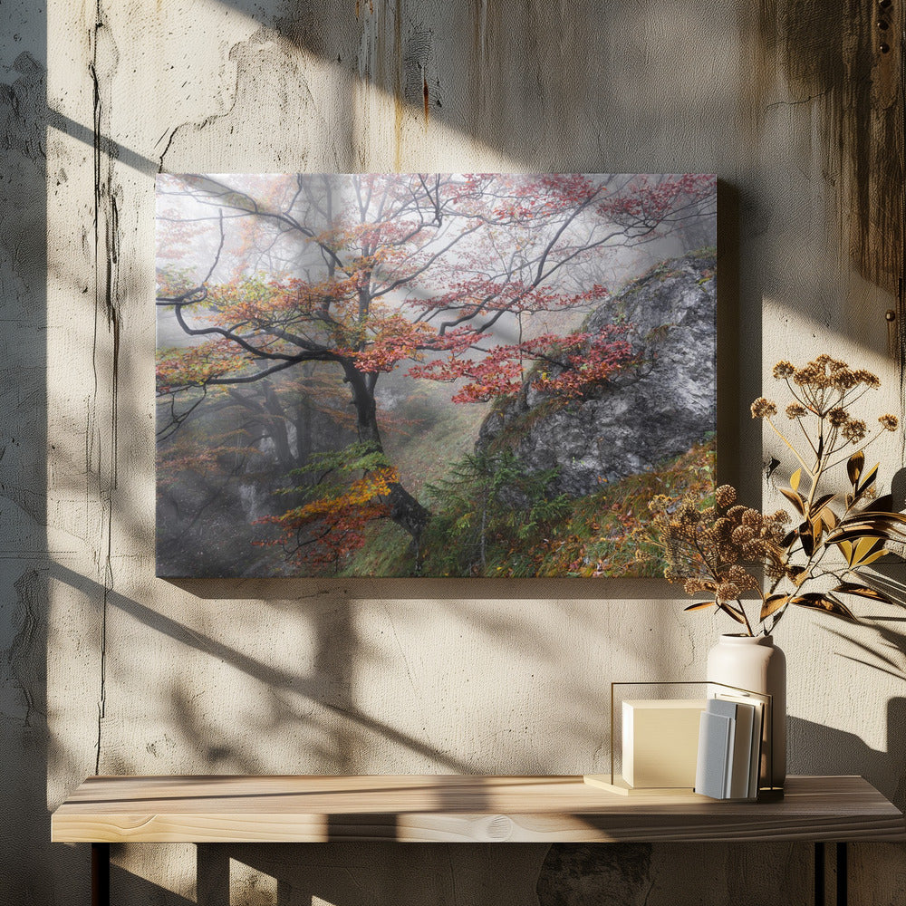 Foggy Woods | Canvas
