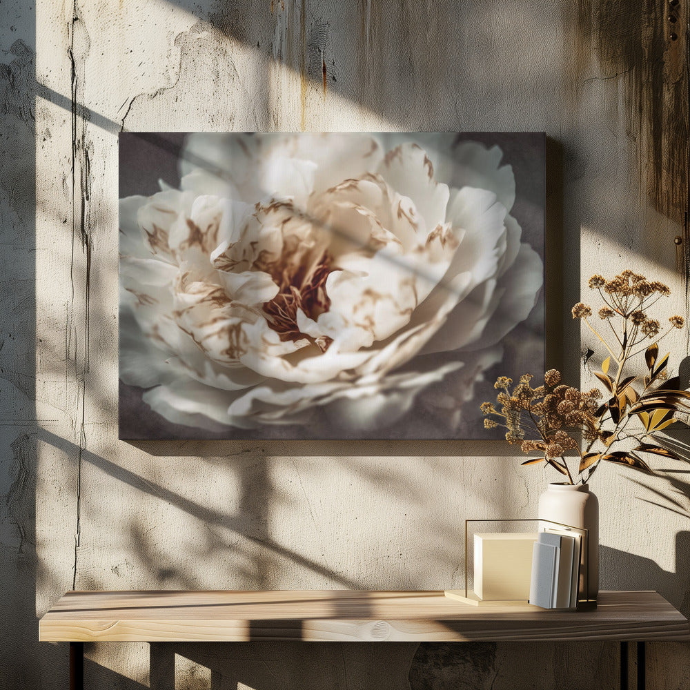 Petals of Serenity | Canvas