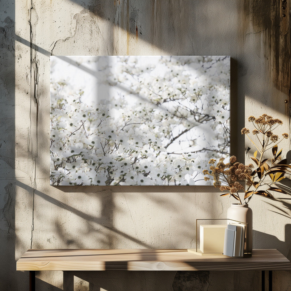 White Spring Tree 1 | Canvas