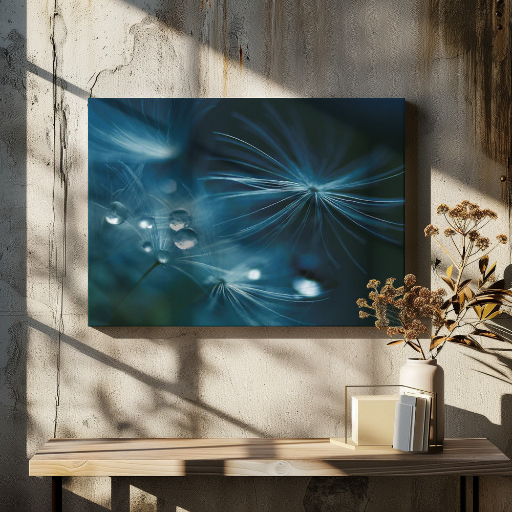 soft touch | Canvas