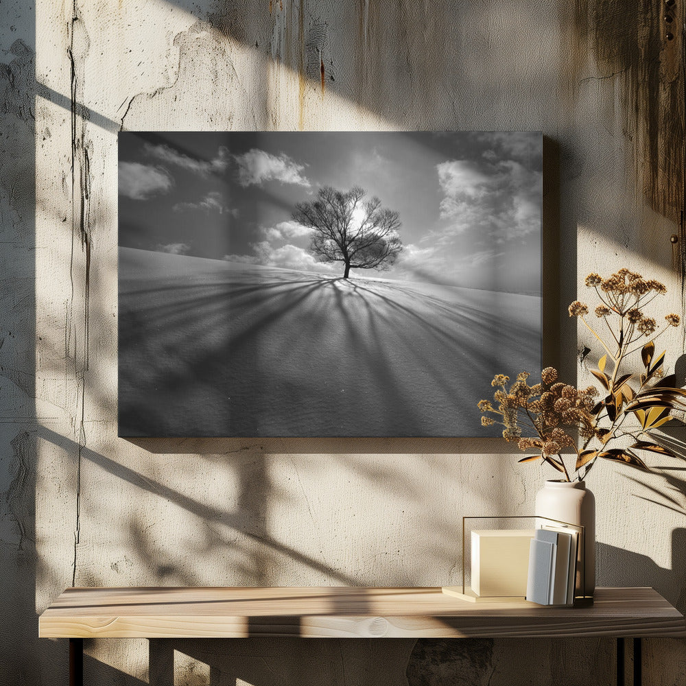 Tree Shadow | Canvas