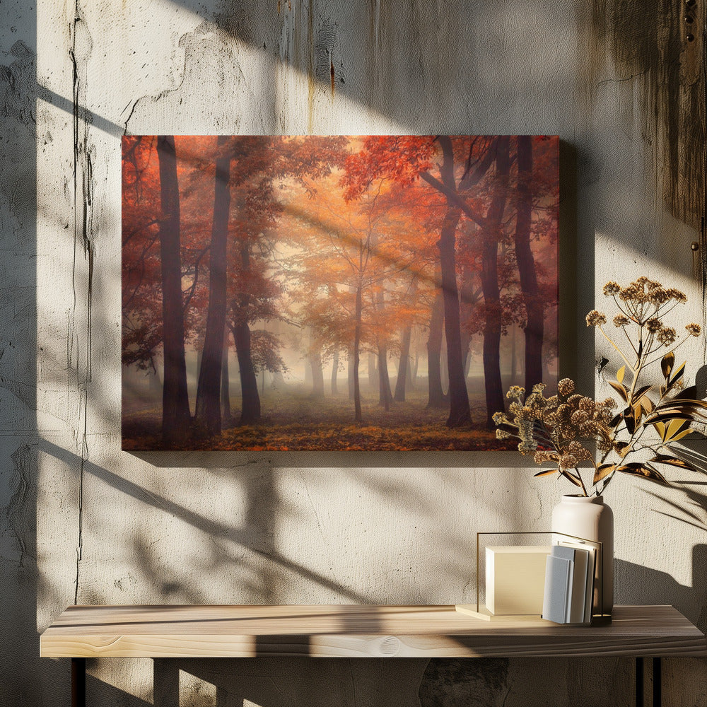 Feel | Canvas