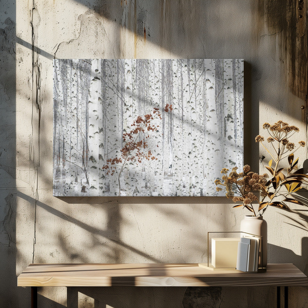 From White | Canvas