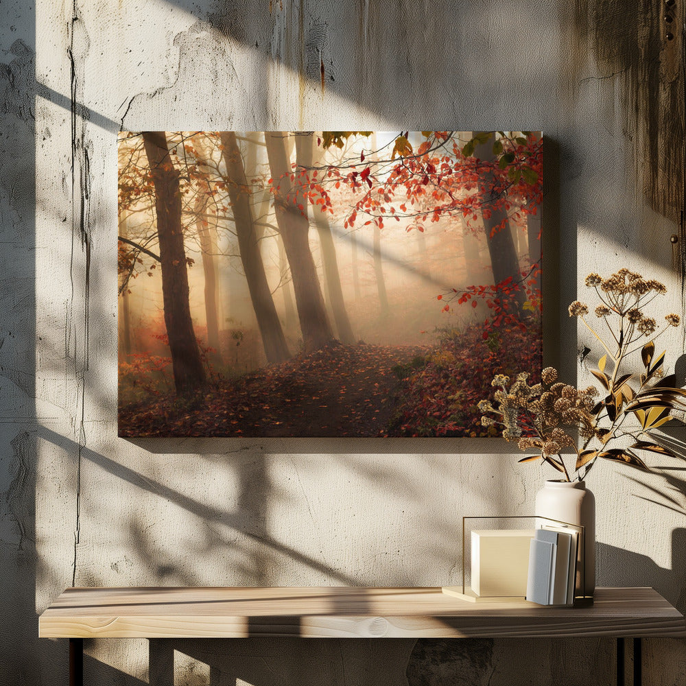 Towards the light. | Canvas