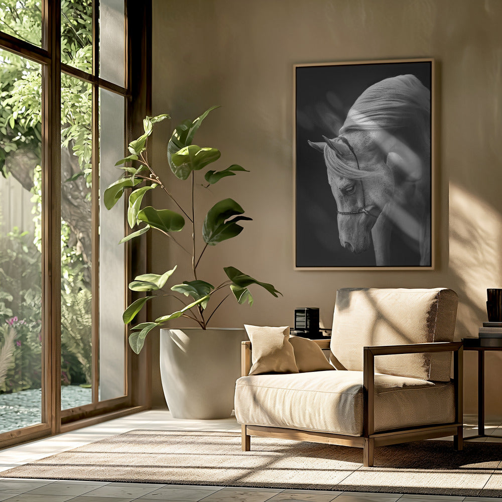 white stallion | Poster