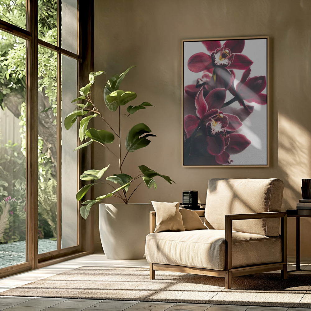 Red Orchids with Delicate Petals | Poster