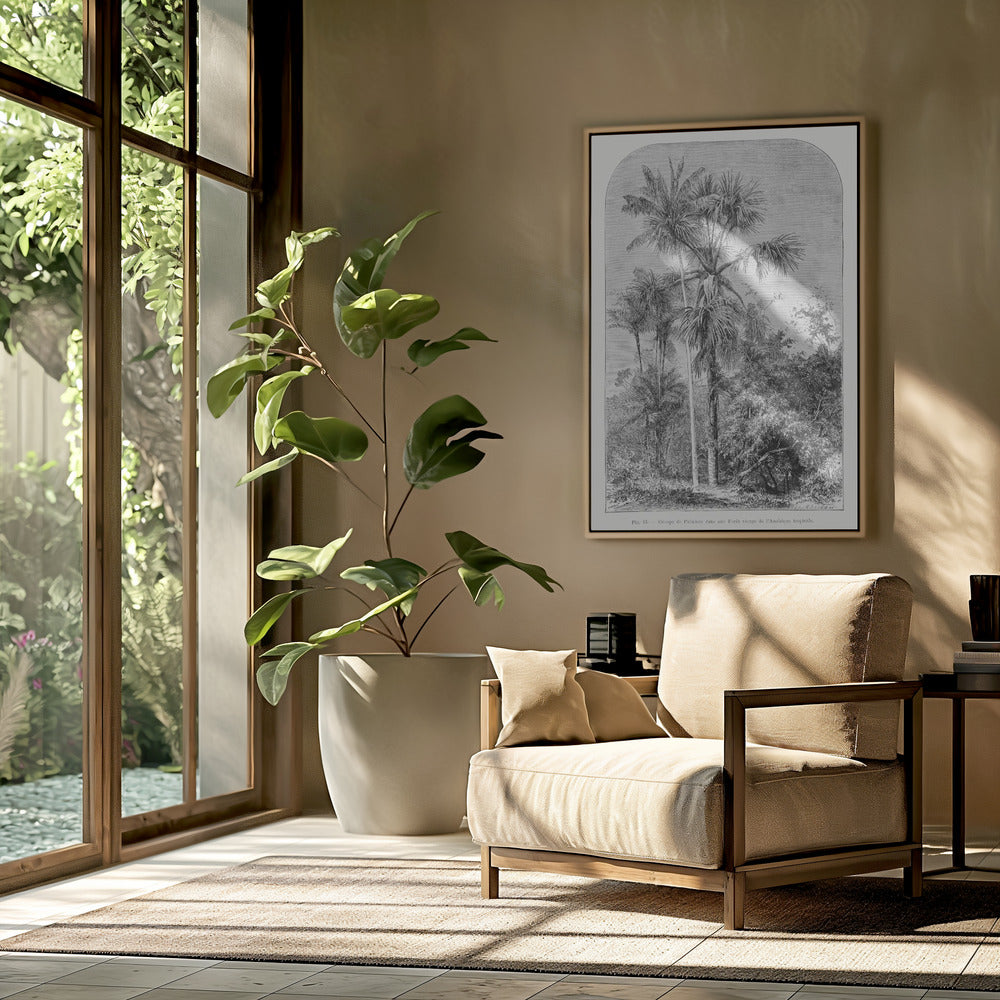 Vintage Palm Tree Drawing Iv | Poster