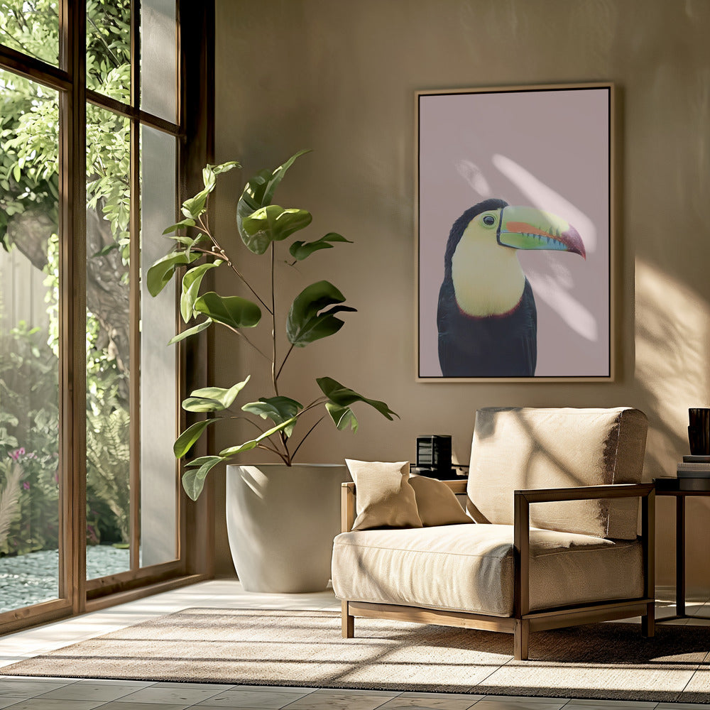 Toucan on Pink | Poster