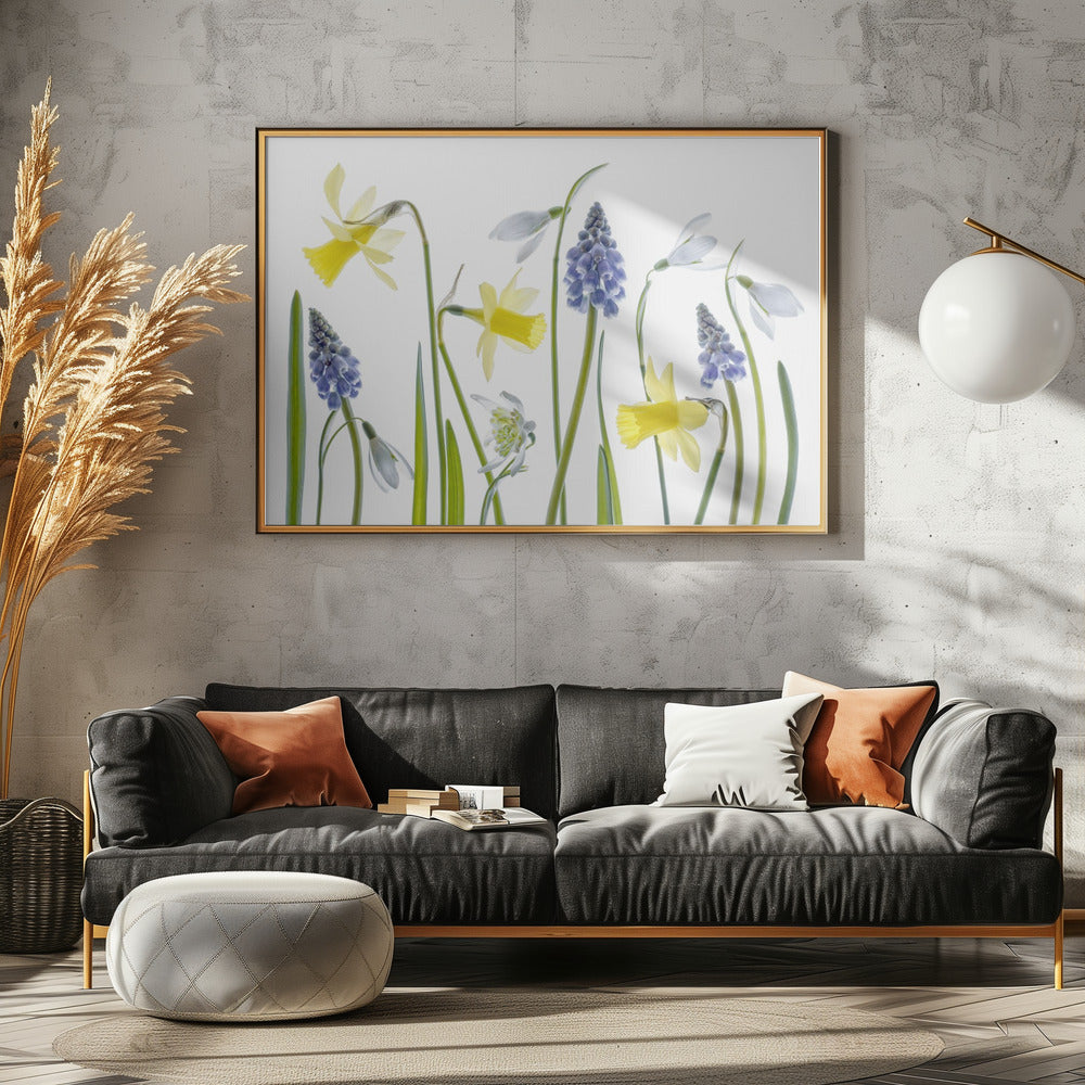 Spring | Poster