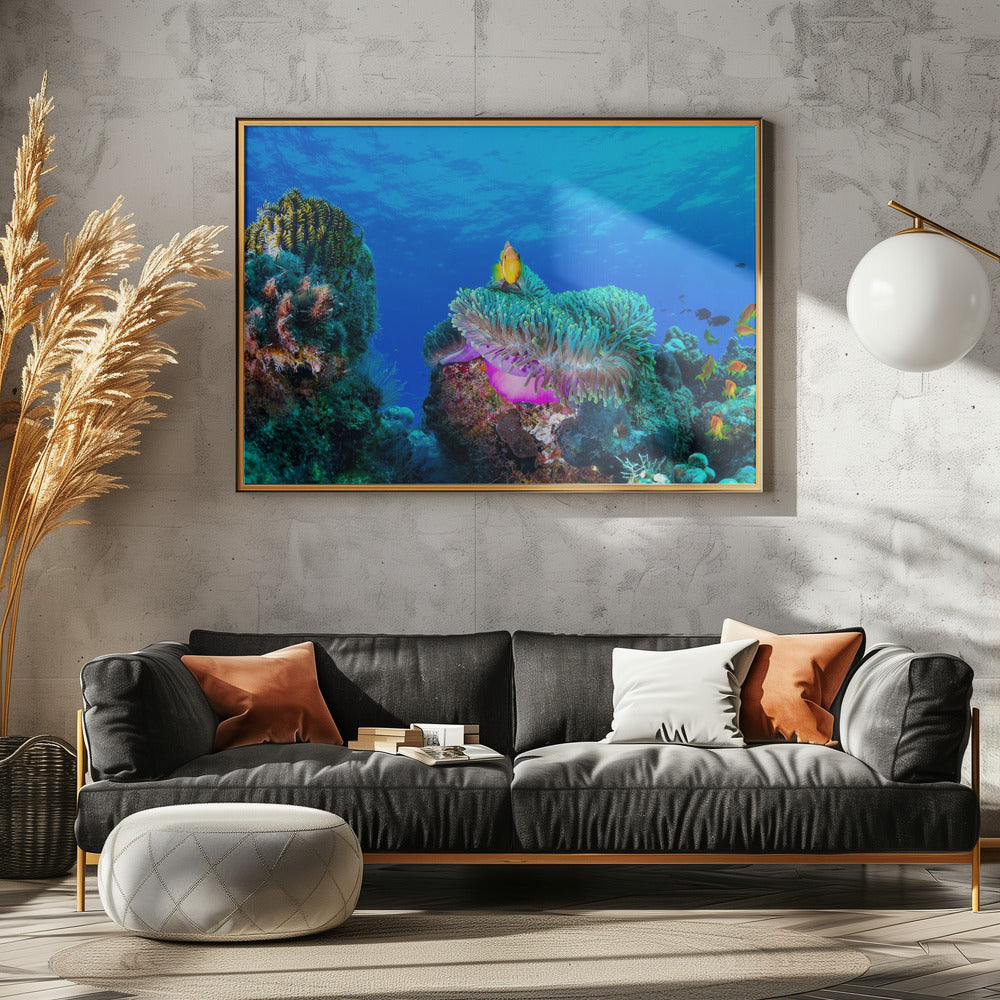 Sea life | Canvas