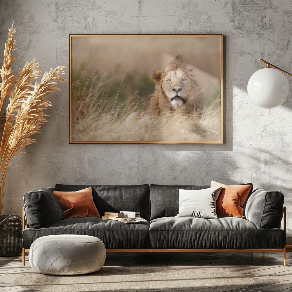 Handsome! | Canvas