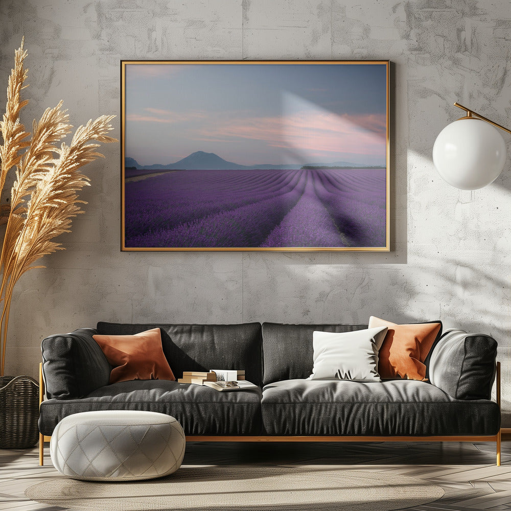 Lavender field | Poster