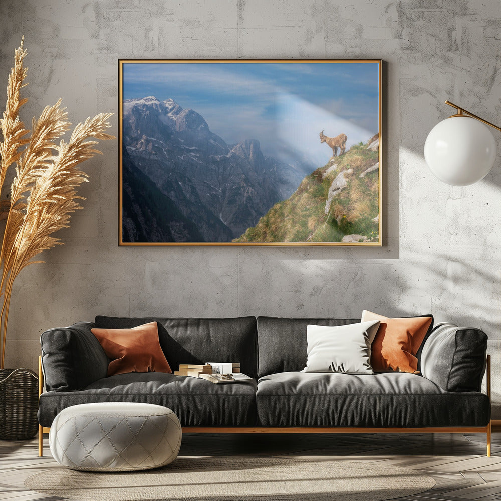 Alpine Ibex in the mountains | Poster