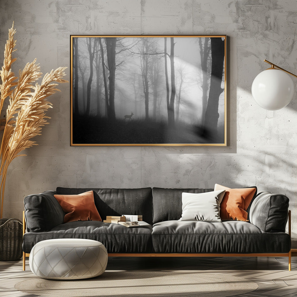 forest | Canvas