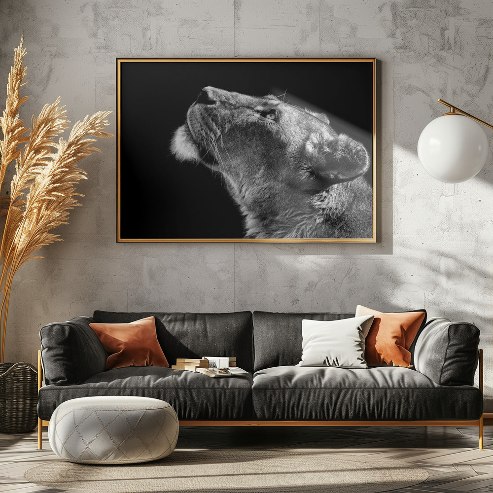 Looking Up | Canvas
