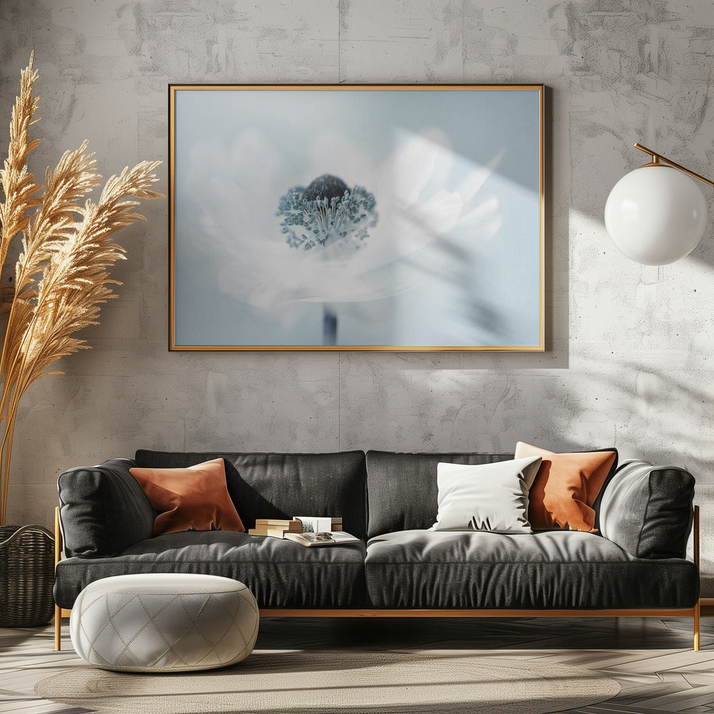 Candy floss | Canvas