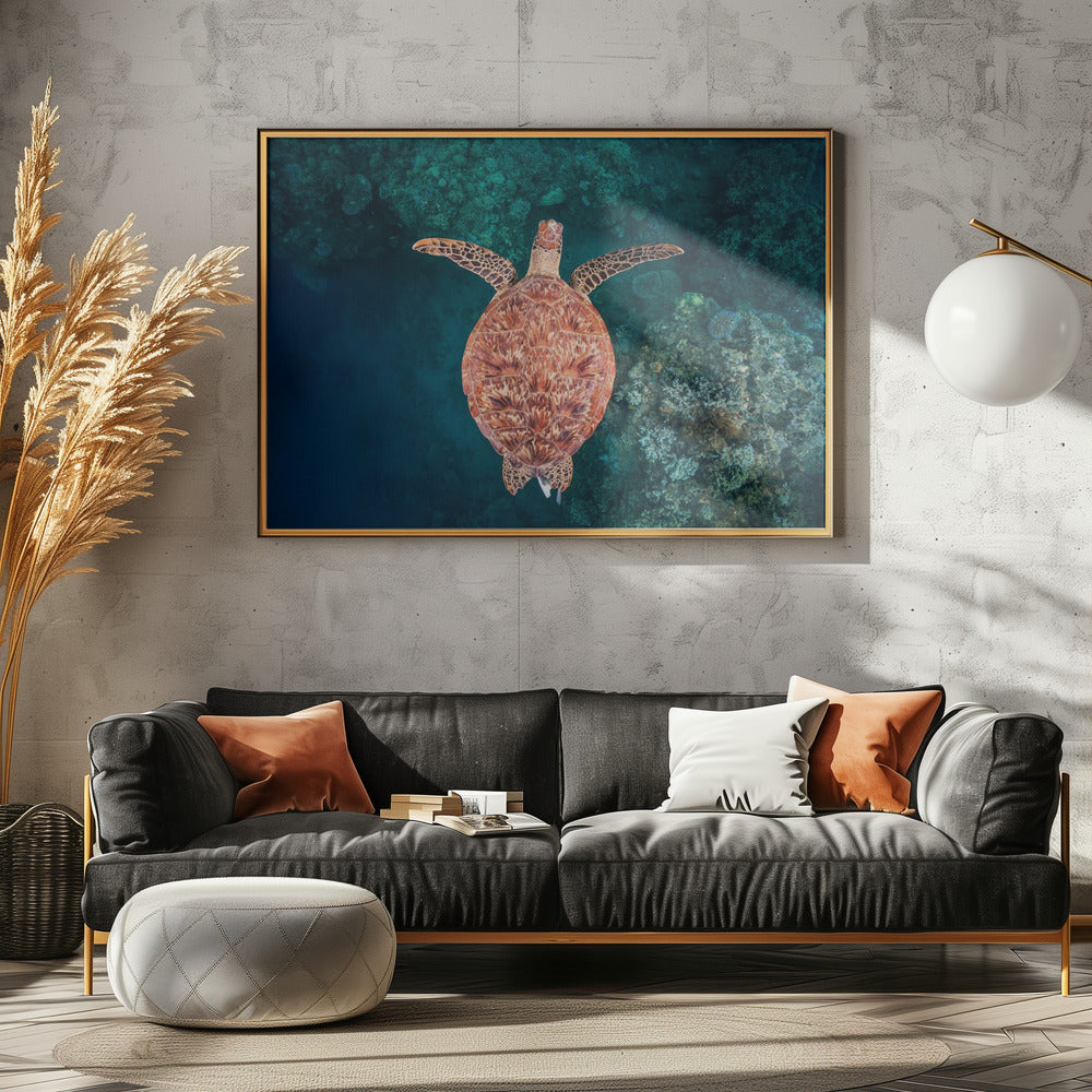 Flying over the reef | Poster