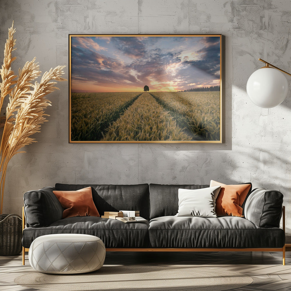 Field of dreams | Canvas