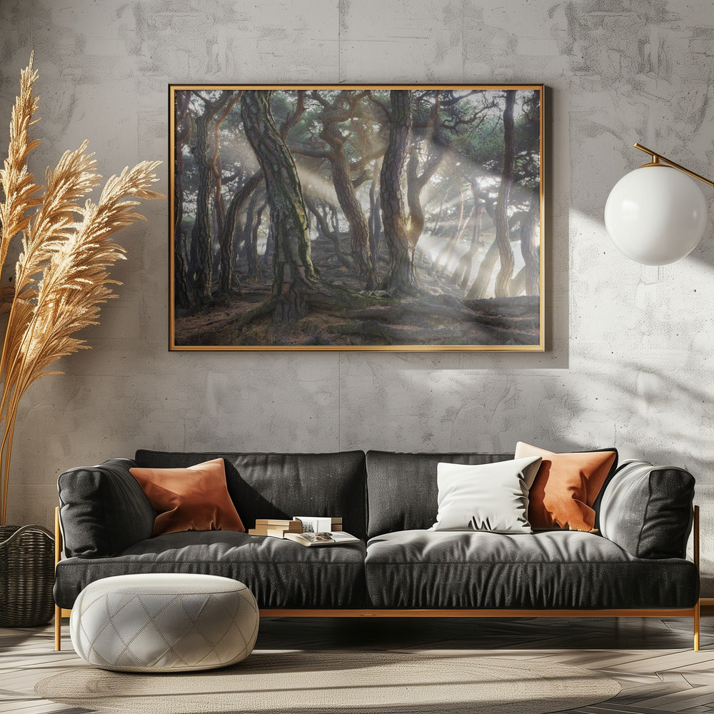 Sacred Pine Trees | Poster