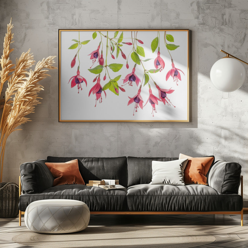 ~ Fuchsia ~ | Canvas