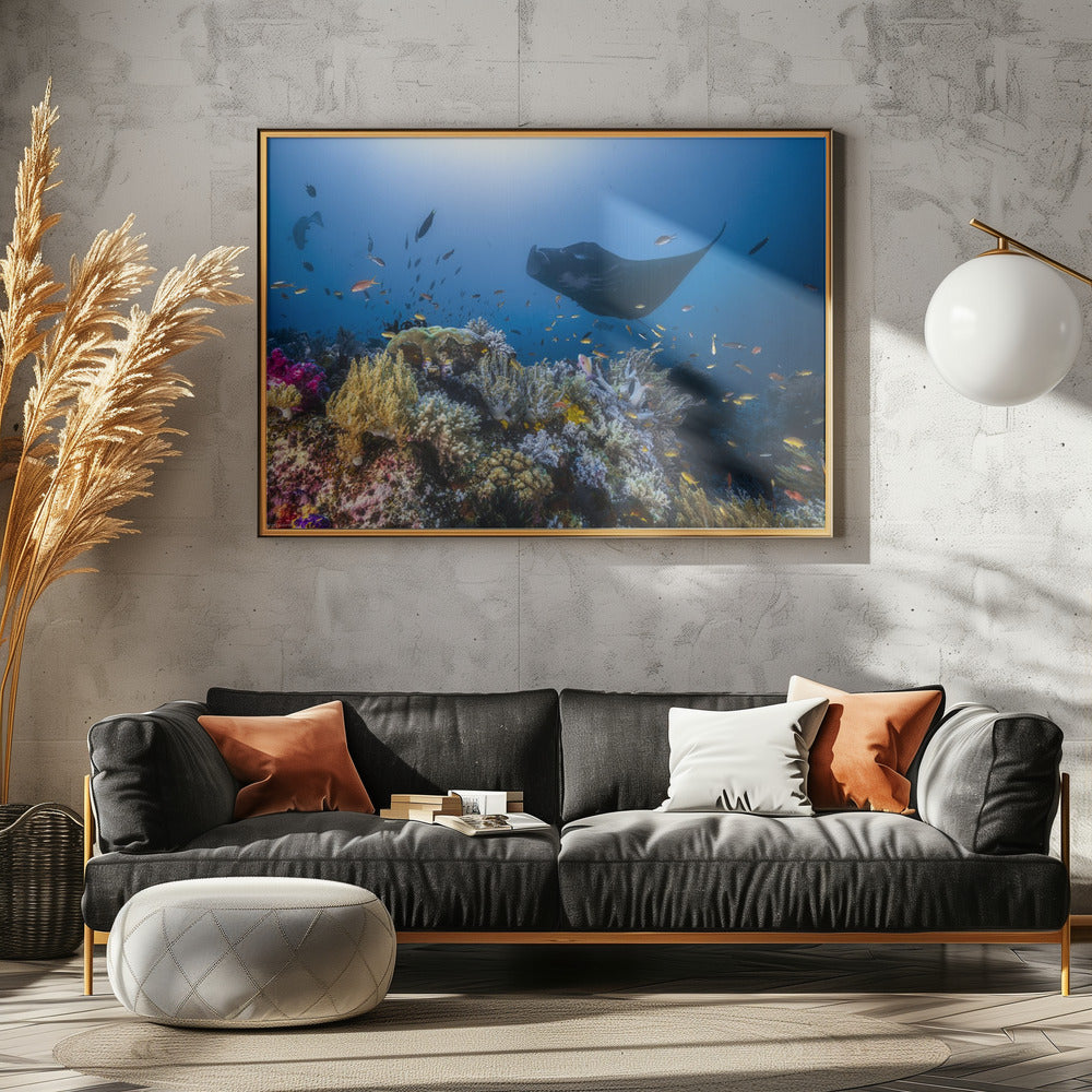 Manta reef on the reef | Poster
