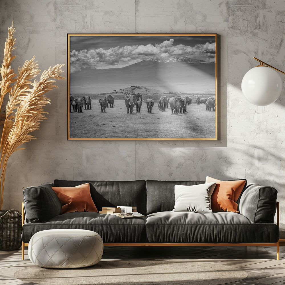 The Titans | Canvas