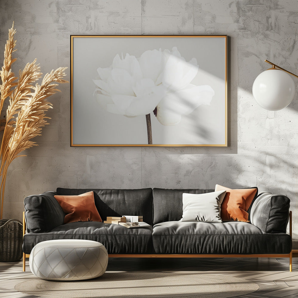 Peony 11 | Canvas