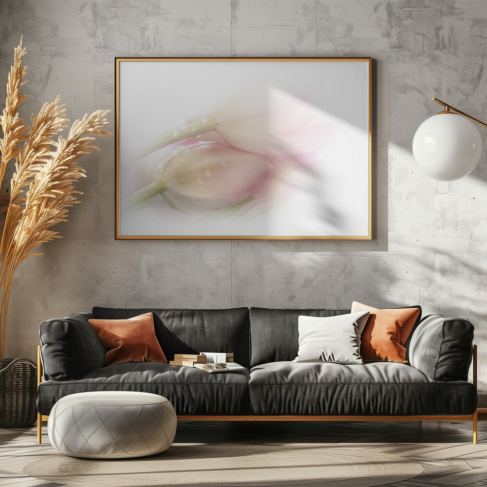Touching | Canvas