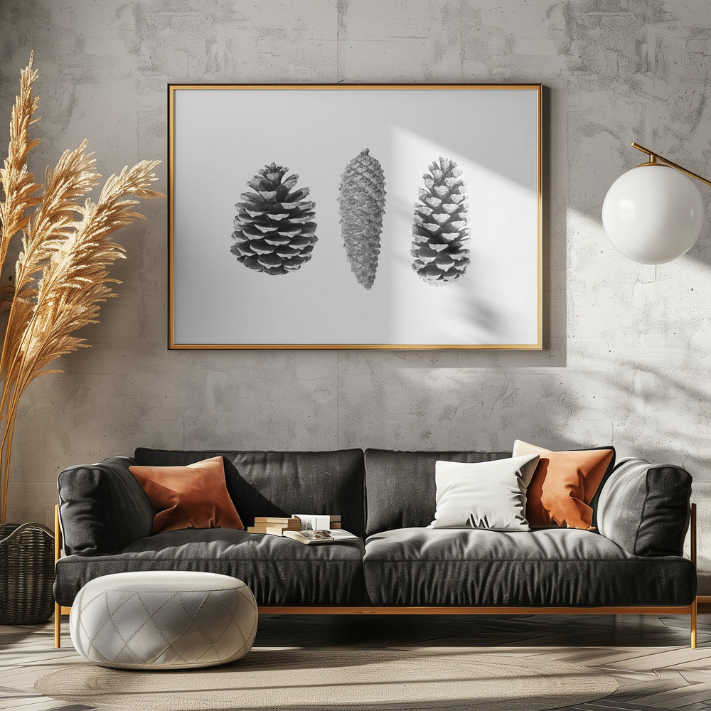 Pine Cone Study | Canvas