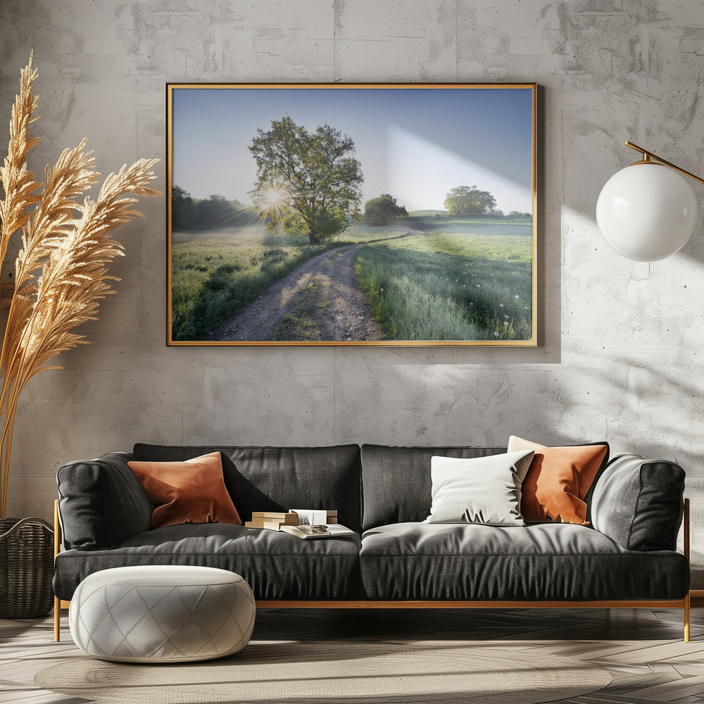 Spring Path | Poster