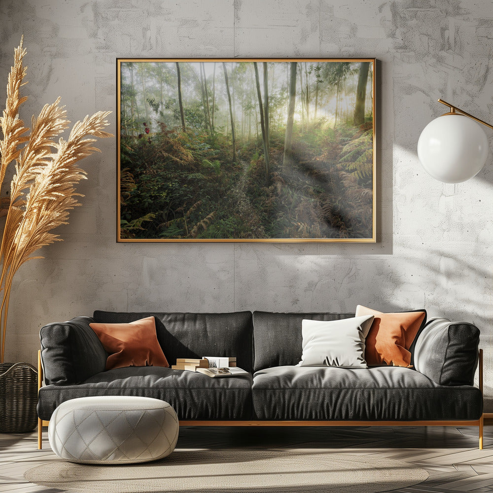 Foggy Woods II | Canvas