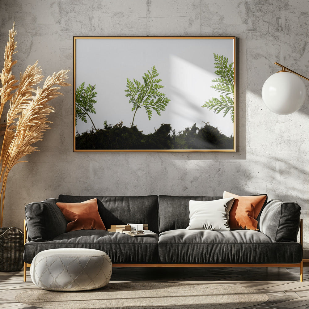 Fern Detail | Canvas
