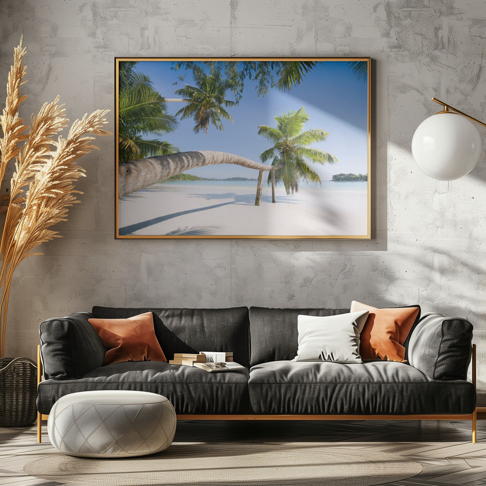 Tropical Palm | Canvas