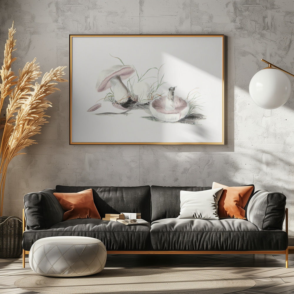 Hand Drawn Field Mushroom | Poster