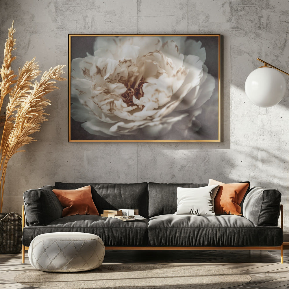 Petals of Serenity | Canvas