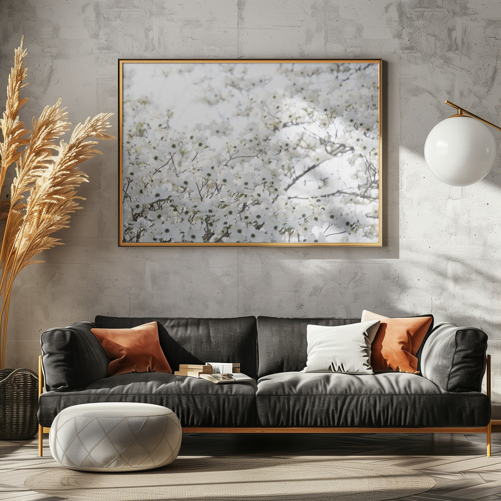 White Spring Tree 1 | Canvas