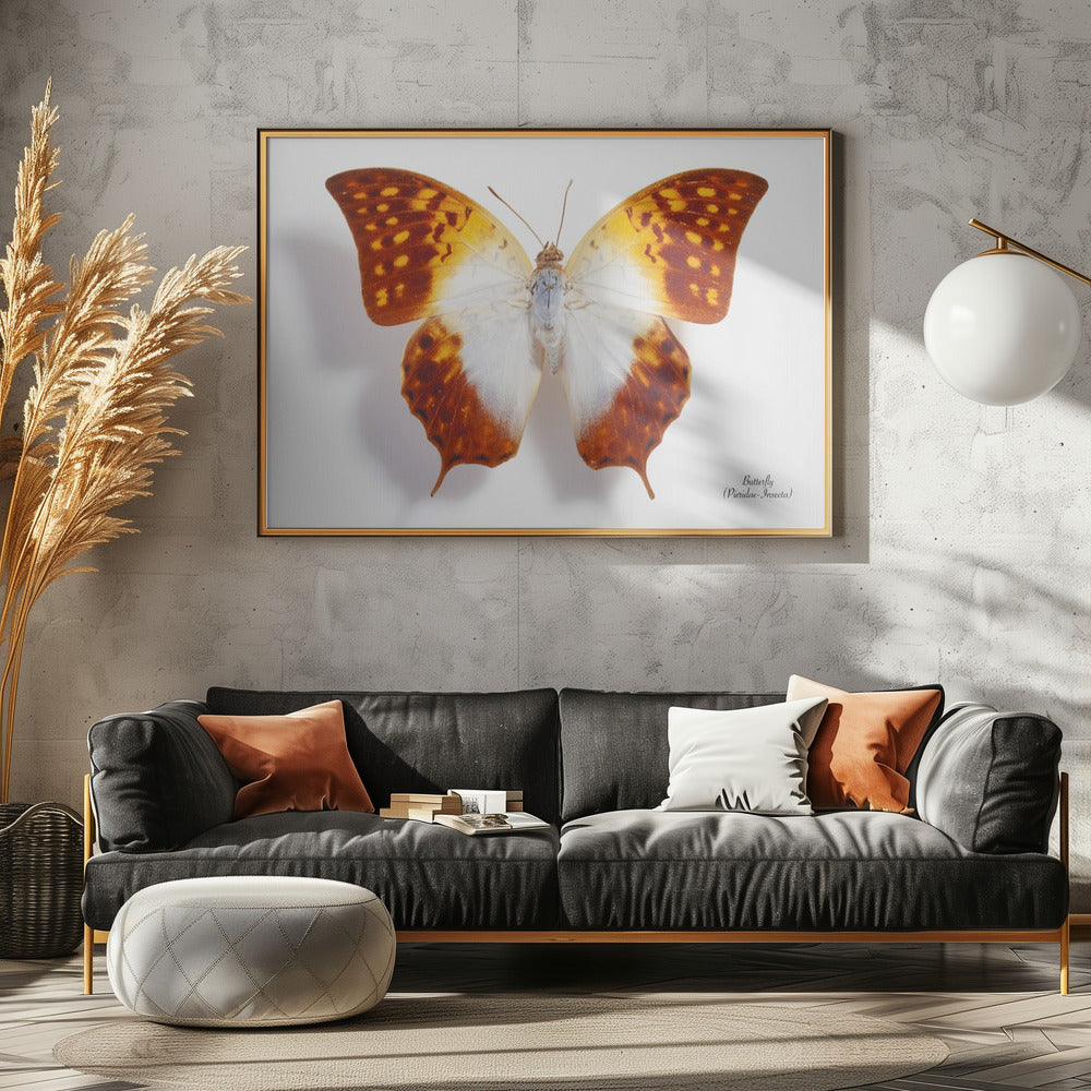 Butterfly - 4 | Canvas