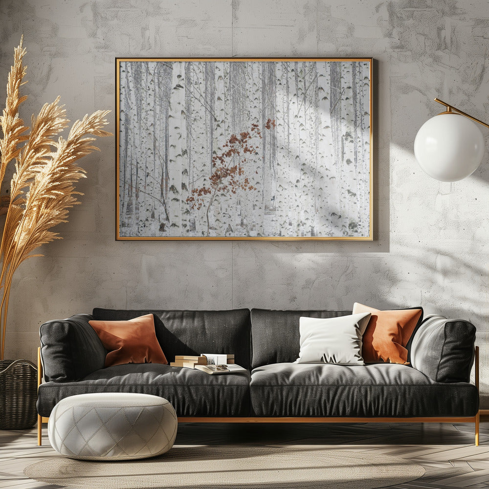 From White | Canvas