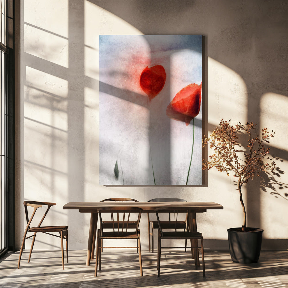 In Flanders Fields | Canvas