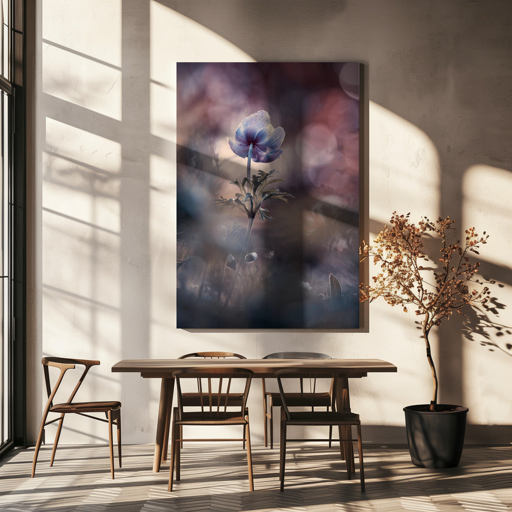 A brighter future | Canvas